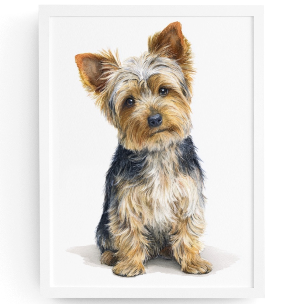 Watercolor Yorkshire Dog Portrait Art Print – Unframed Fine Art Poster